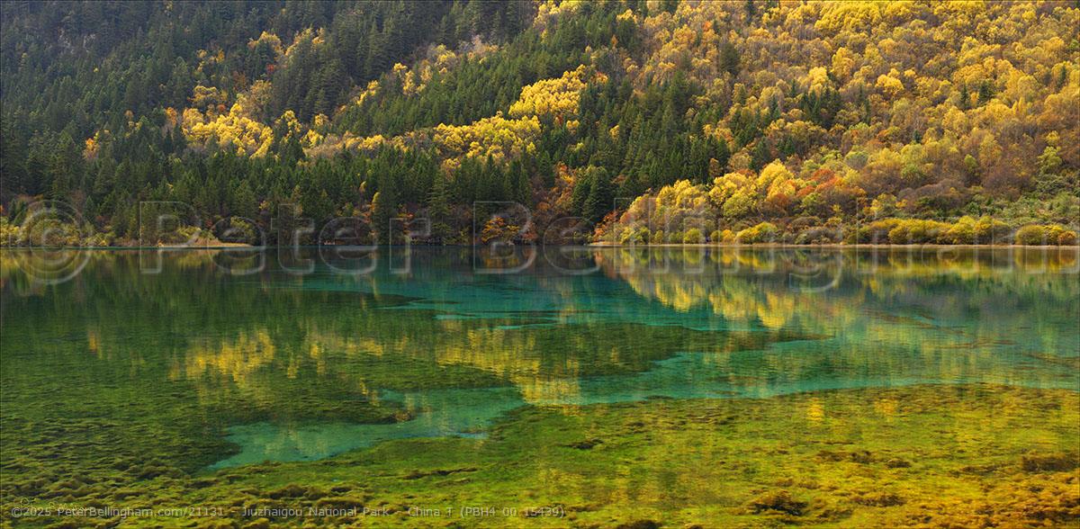 Peter Bellingham Photography Jiuzhaigou National Park - China T (PBH4 00 15439)